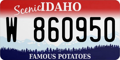 ID license plate W860950