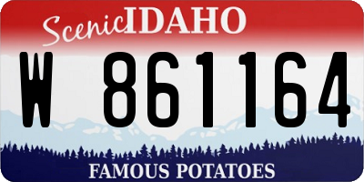 ID license plate W861164