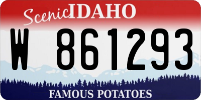 ID license plate W861293