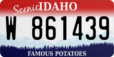 ID license plate W861439