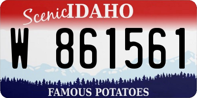ID license plate W861561