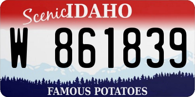 ID license plate W861839