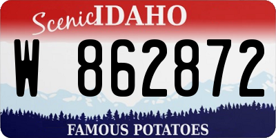 ID license plate W862872