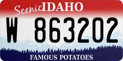 ID license plate W863202