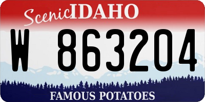 ID license plate W863204