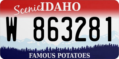 ID license plate W863281