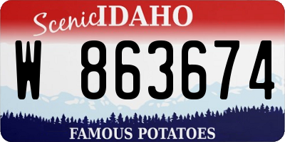 ID license plate W863674