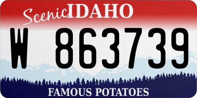 ID license plate W863739