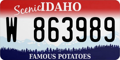 ID license plate W863989