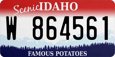 ID license plate W864561
