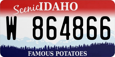 ID license plate W864866