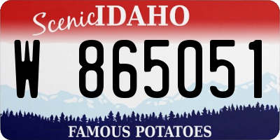ID license plate W865051