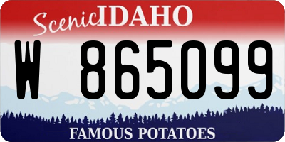 ID license plate W865099