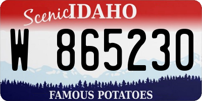 ID license plate W865230