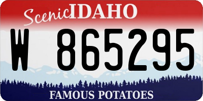 ID license plate W865295