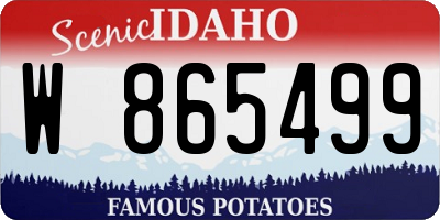 ID license plate W865499