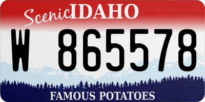 ID license plate W865578