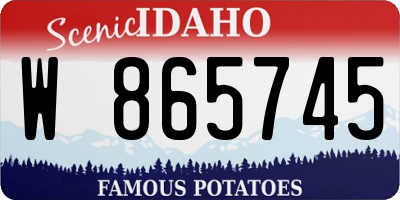 ID license plate W865745