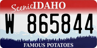 ID license plate W865844