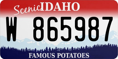 ID license plate W865987