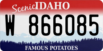 ID license plate W866085