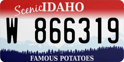ID license plate W866319
