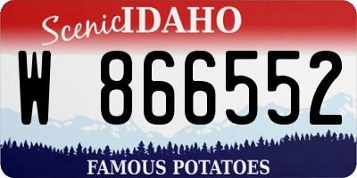 ID license plate W866552