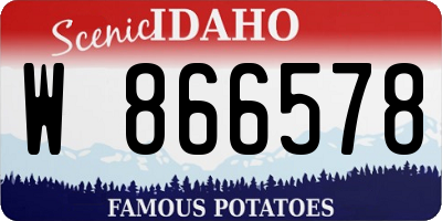 ID license plate W866578