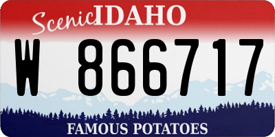 ID license plate W866717