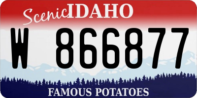 ID license plate W866877