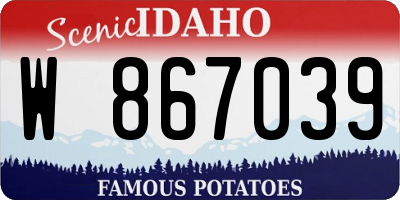 ID license plate W867039