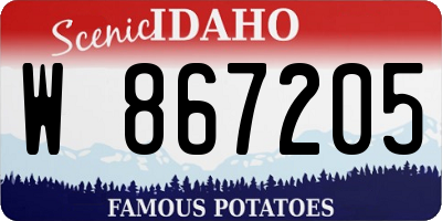 ID license plate W867205