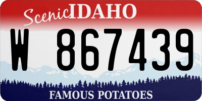 ID license plate W867439