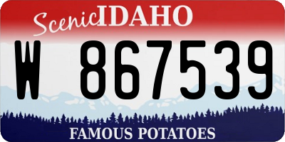 ID license plate W867539