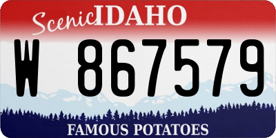 ID license plate W867579