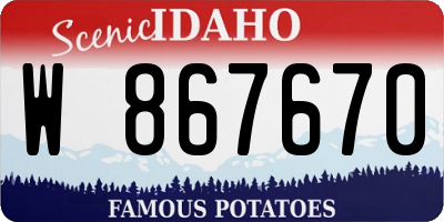 ID license plate W867670