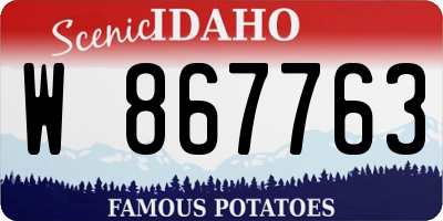 ID license plate W867763
