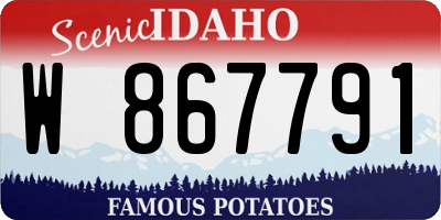 ID license plate W867791