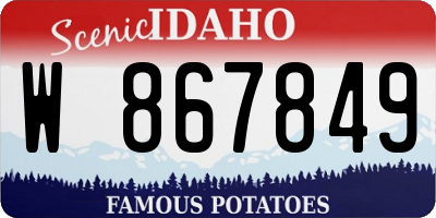 ID license plate W867849