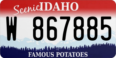 ID license plate W867885