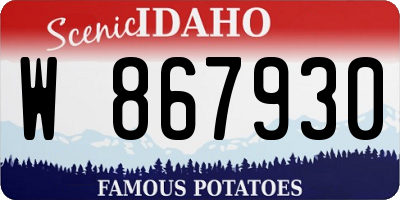 ID license plate W867930