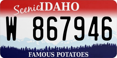 ID license plate W867946