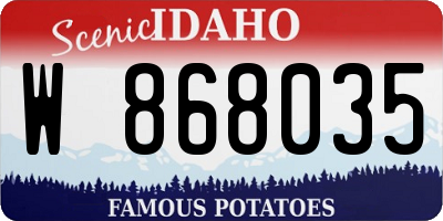 ID license plate W868035