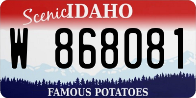ID license plate W868081