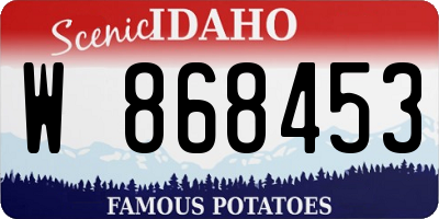 ID license plate W868453