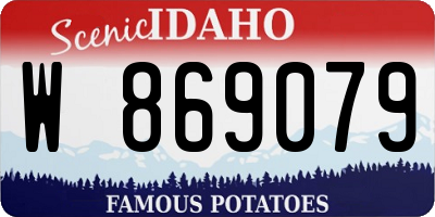 ID license plate W869079