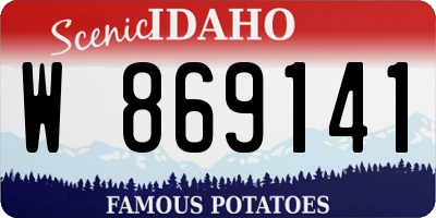 ID license plate W869141