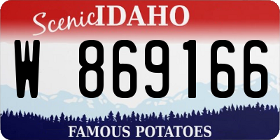 ID license plate W869166