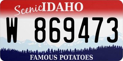 ID license plate W869473
