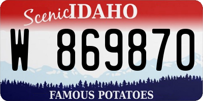 ID license plate W869870